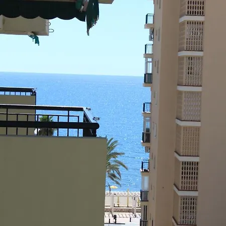 Gaviotas *