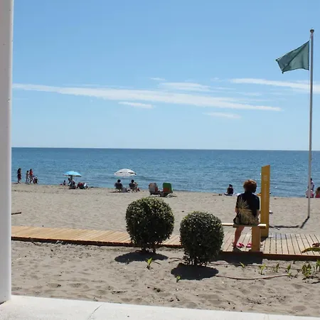 Gaviotas *